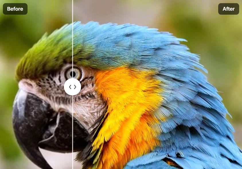 Upscaling comparison: before and after AI enhancement